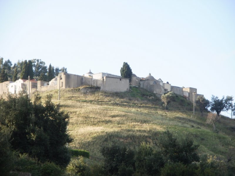 Cirò — 20